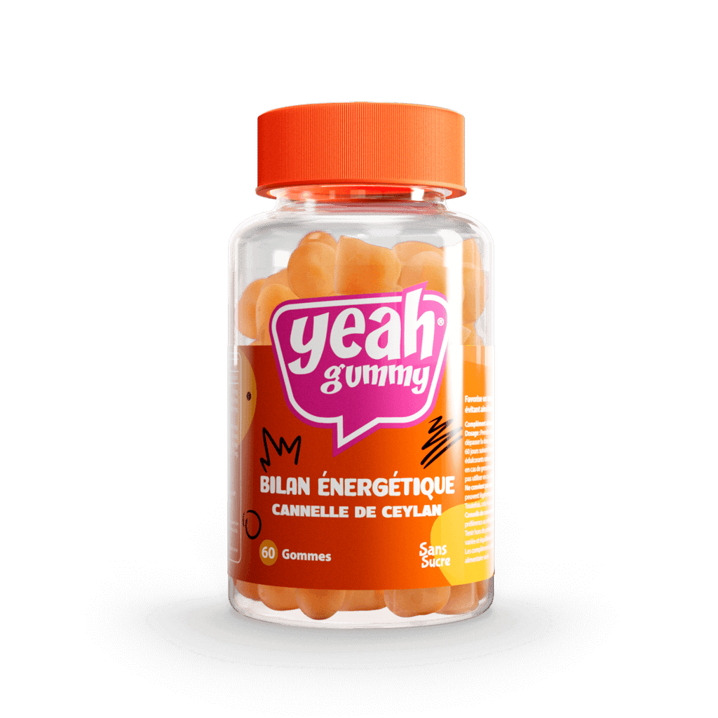 Bilan Énergétique Cannelle de Ceylan